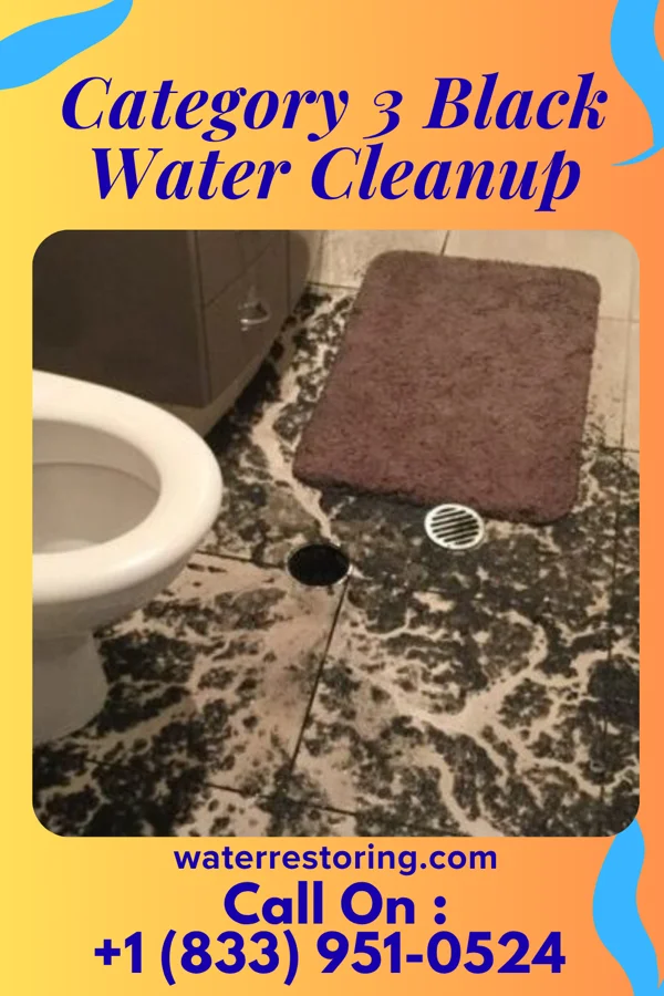Category 3 Black Water Cleanup in Buckner, MO