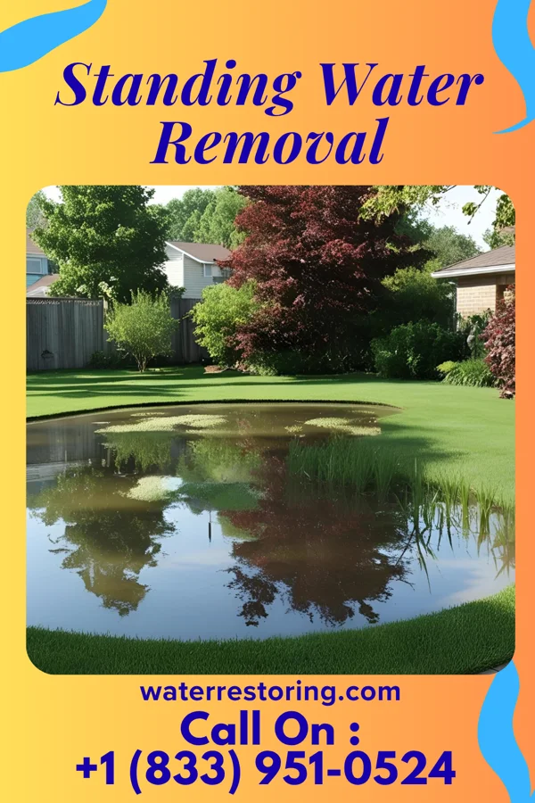 Standing Water Removal in Buckner, MO